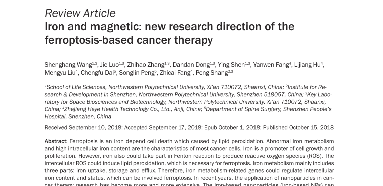 铁与磁性：基于铁下垂的癌症治疗的新研究方向