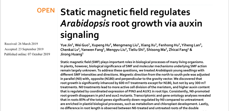 Static magnetic field regulates Arabidopsis root growth via auxin signaling